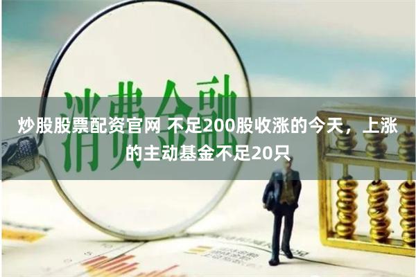 炒股股票配资官网 不足200股收涨的今天，上涨的主动基金不足20只